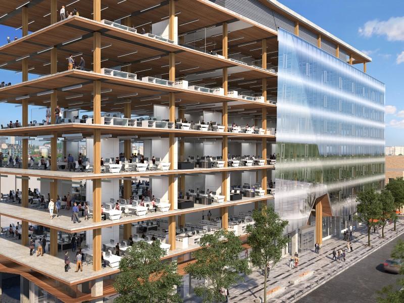 Illustration of a multistorey timber building with exposed floor structure